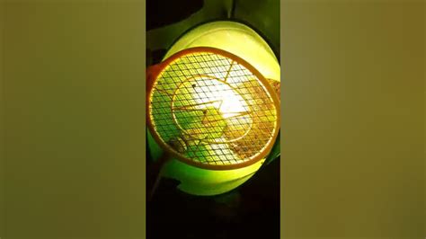 Redneck Bug Zapper Youtube