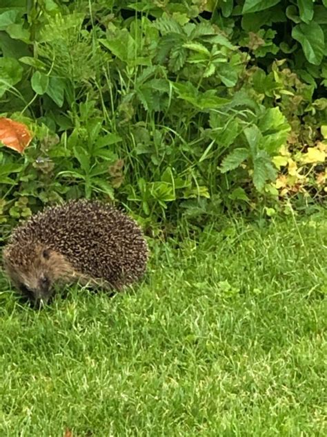 Besuch Im Garten Werner Kalinka Mdl