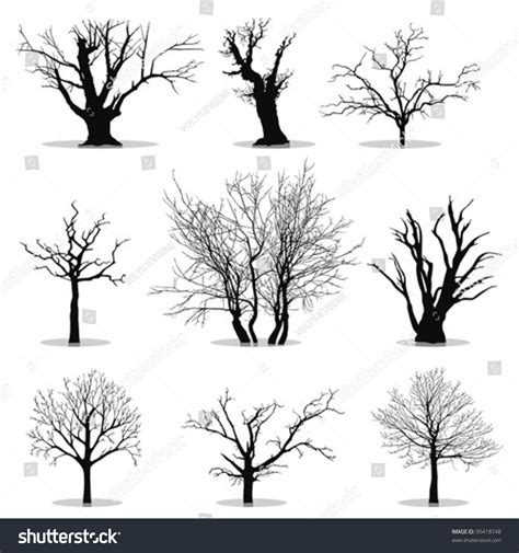 Collection Of Trees Silhouettes Stock Vector Illustration 95418748