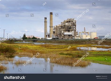 2 873 Polluted Wetland Images Stock Photos Vectors Shutterstock