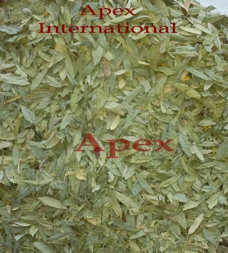 Green Dry Senna Leaves Packaging Size Kgs Kg Kg Kg