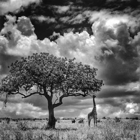 Best iPhone photos: Breathtaking images snapped on iPhone