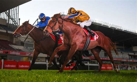 Moonee Valley Tips, Cox Plate and Track Information