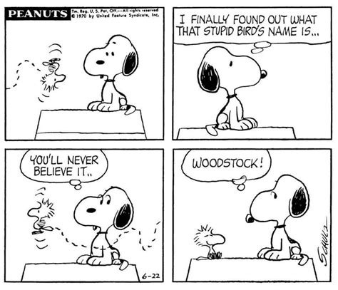 Pin By Liz Beans On SNOOPY One Of My Favorite Things Snoopy Comics