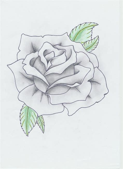 Pin On Tattoo Stencils Rose Tattoo Stencil Black And Grey Rose