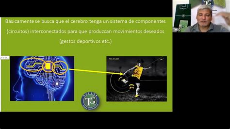 Tg Neuroentrenamiento T Cnicas De Dise Os De Entrenamientos Basado En