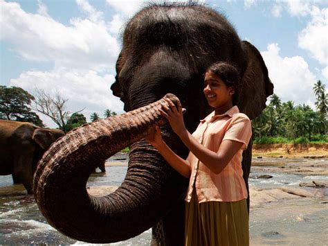 Chandani Und Ihr Elefant Neues F R Kinder Badische Zeitung