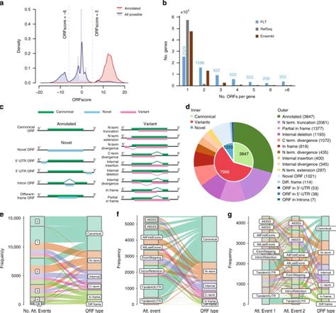 Full Length Transcriptome Reconstruction Reveals A Large Diversity Of