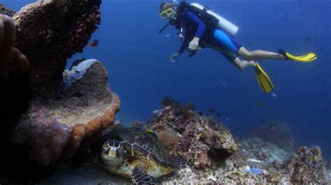 Best Places To Go Scuba Diving In India India