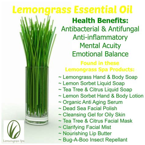 Health Benefits Of Lemongrass Lemongrass Spa Organic Body Lotion