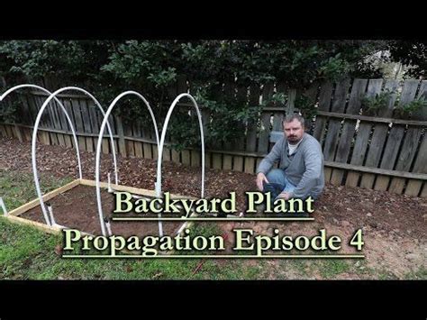 Backyard Plant Propagation Episode 4 How To Root Woody Shrub Series