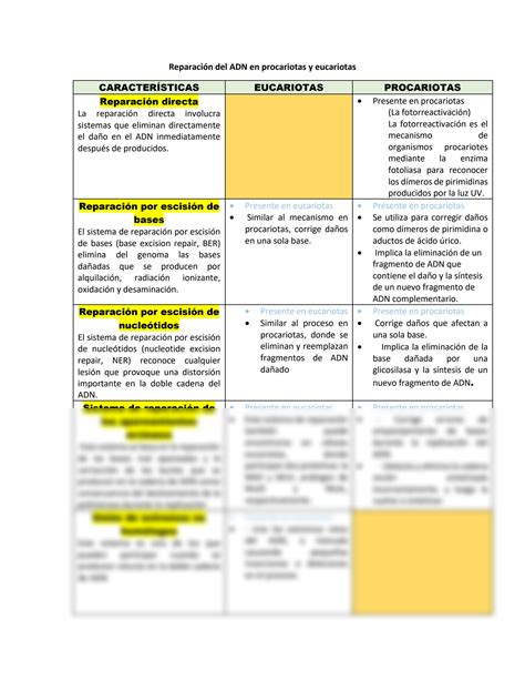 Solution Reparaci N De Adn En C Lulas Procariotas Y Eucariotas Cuadro