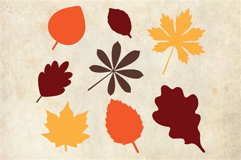 Fall Leaves Graphic by MagnoliaSB · Creative Fabrica