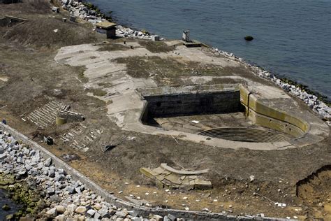 Terns nesting among military history on Great Gull Island | Article