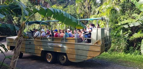 Classic Kuranda Day Tour With Scenic Train And Skyrail