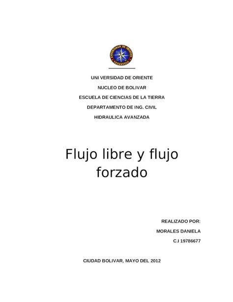 DOCX Flujo Libre Y Forzado DOKUMEN TIPS