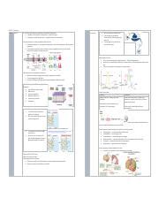 Mcb L Final Review Pdf Mcb L Final Review Lab Diffusion All Our