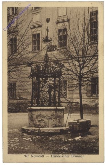 Wiener Neustadt Historischer Brunnen Numismatik Schmuck Walkner