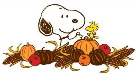 Pin By Venissa Loendorf On Fall Thanksgiving Snoopy Thanksgiving