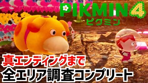 Liveswitchpikmin Youtube