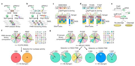 Nat Biotech Dna