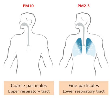 Doctors For Clean Air A Public Health Emergency