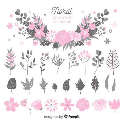 Collection D Ornements Floraux Vecteur Gratuite