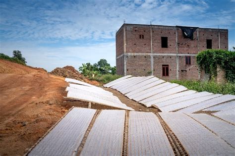 Micr Bios Do Solo Como Arquitetos Da Natureza Construindo Bases Mais