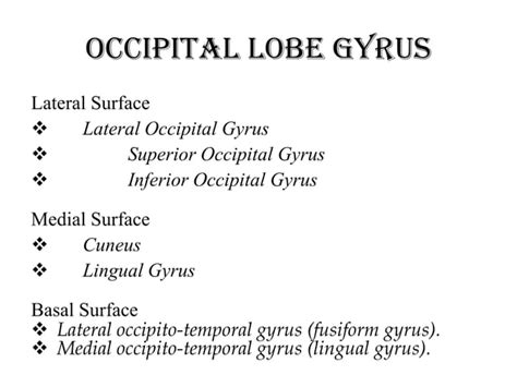 Anatomy of brain sulcus and gyrus - Dr.Sajith MD RD | PPT