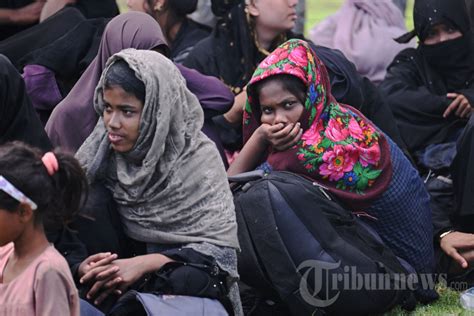 Ribuan Pengungsi Rohingya Tiba Di Aceh Foto Tribunnews