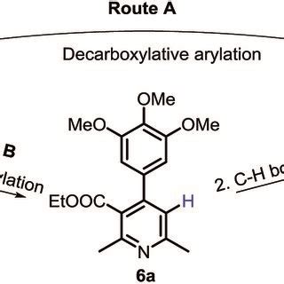 Strategies Towards Synthesis Of Polysubstituted 3 4 Diarylated