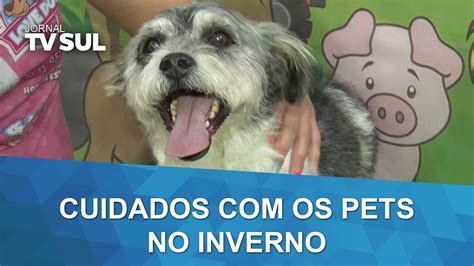 Cuidados Os Pets No Inverno Devem Ser Redobrados Youtube