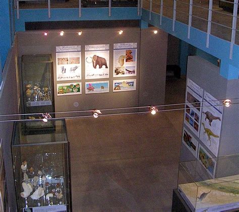 Anni Di Studi E Ricerche Dall Apertura Del Museo Di Geopaleontologia