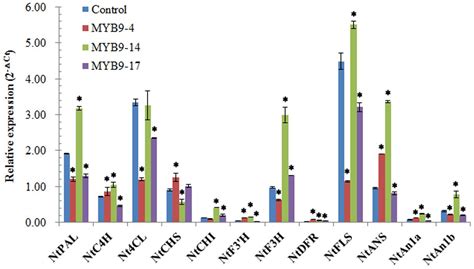 Frontiers Functional Characterization Of A Novel R2r3 Myb