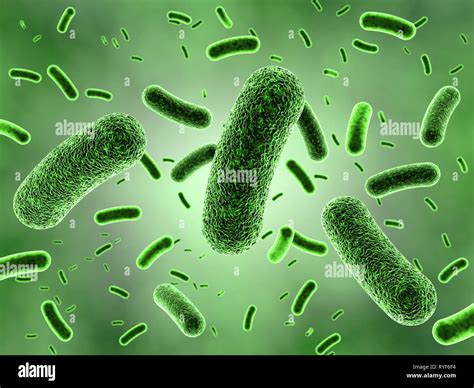 Bacteria Microscopic Illness Stockfotos Und Bilder Kaufen Alamy