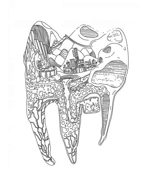 printable tooth anatomy coloring page    print