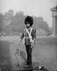 Pioneer Coldstream Guards Glass Negative C Online