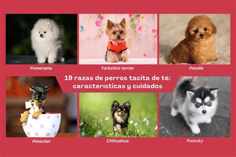 Crecen Los Perros Taza De T