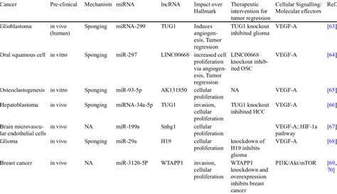 Synopsis Of The Crosstalk Between Mirna And Lncrna For Angiogenesis