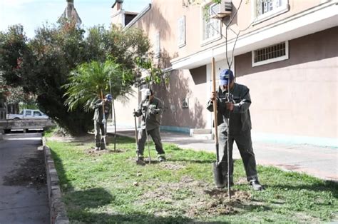 La Municipalidad Inici La Plantaci N De Rboles En El Barrio