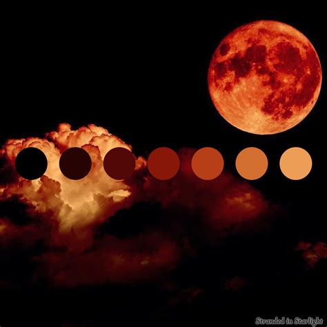 Blood Moon Red Color Palette By Strandedinstarlight On Deviantart