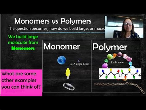 Polymers And Monomers Examples