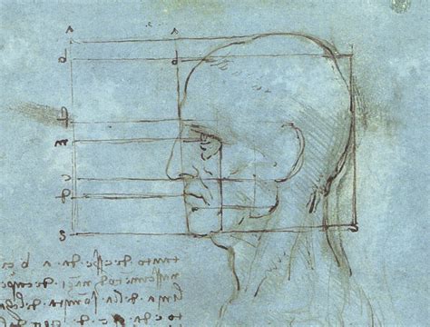 Drawing Face Proportions In 5 Super Simple Steps