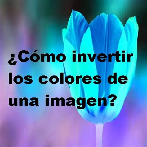 C Mo Invertir Los Colores De Una Imagen