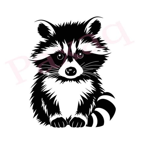 Mapache Svg Lindo Mapache Svg Mapache Vector Cutfile Png Pdf Svg