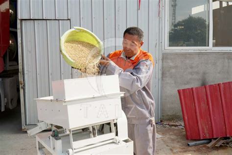 Rice Destoner Rice Paddy Stone Removing Machine