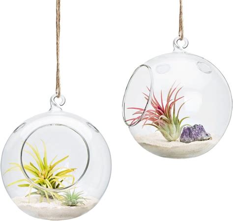 Mkono 2 Pack Glass Hanging Planter Succulent Air Plant Terrarium 6 Globe Candle Holder