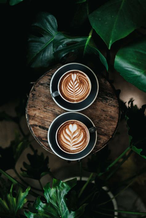 Magic Mushroom Coffee - Zoomies Canada