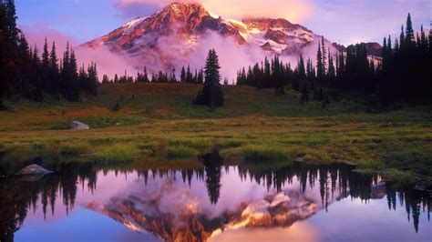 Wallpaper Pemandangan Hutan Matahari Terbenam Danau Air Refleksi