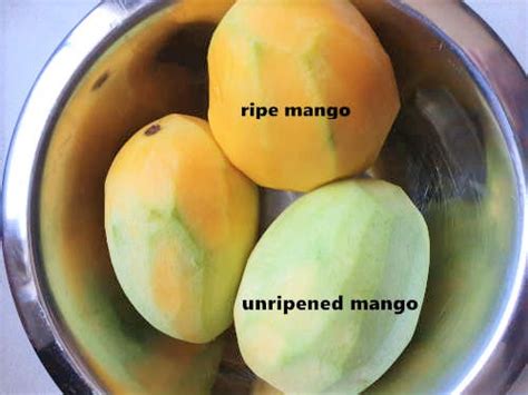 Fermented Mango Food Fermentation Tips